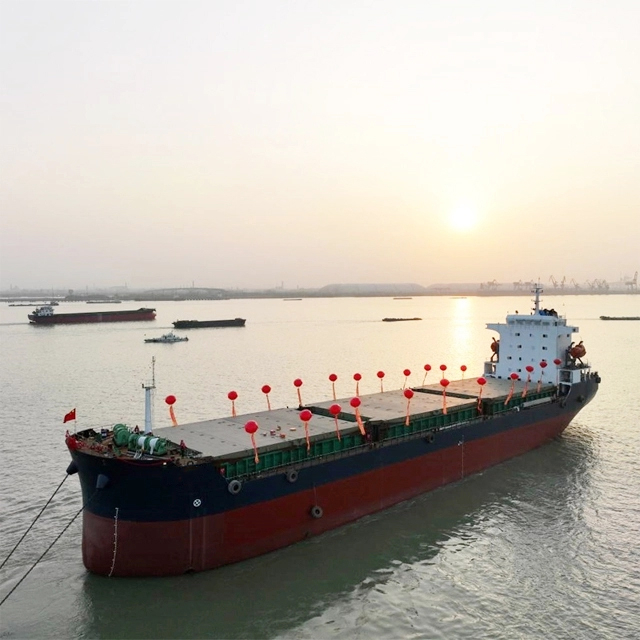 Maßgeschneiderter Doppelrumpf-Massengutfrachter mit Kran 